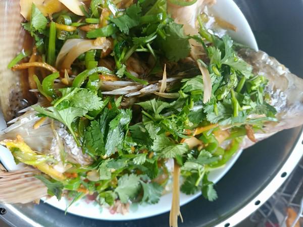 清蒸羅非魚的做法-家常味蒸菜譜