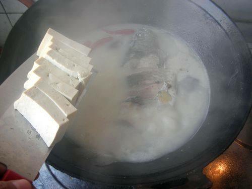 奶白鯽魚豆腐湯的做法-咸鮮味燉菜譜