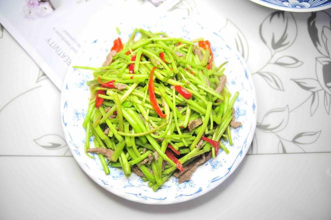 蘆蒿炒肉絲的做法-家常味炒菜譜