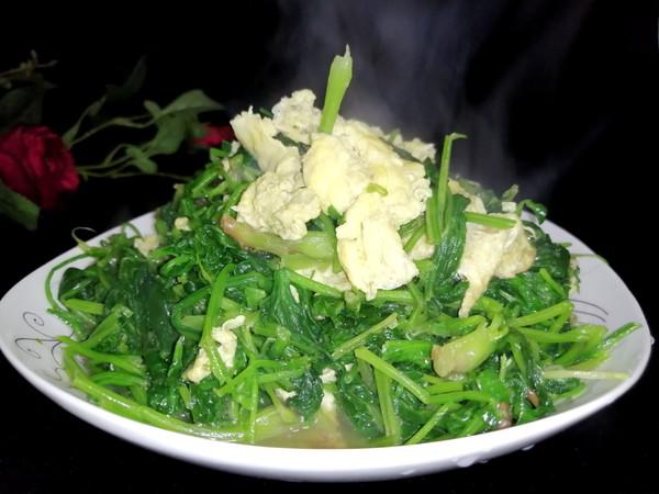 菠菜炒雞蛋的做法-家常味炒菜譜-易網健康養生網 菠菜炒雞蛋的做法-家常味炒菜譜