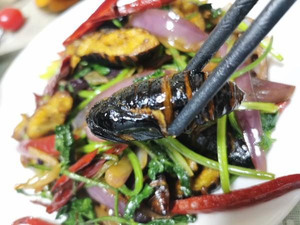 干煸蠶蛹的做法-香辣味炒菜譜-易網健康養生網 干煸蠶蛹的做法-香辣味炒菜譜