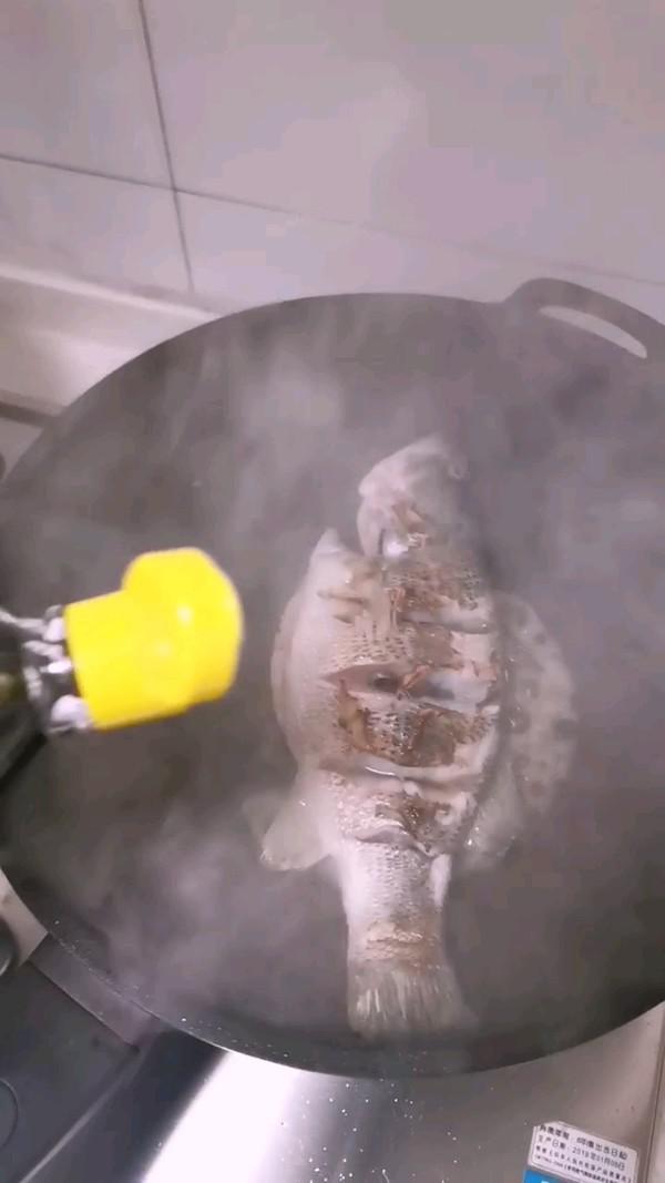 紅燒鱸魚的做法-家常味煮菜譜