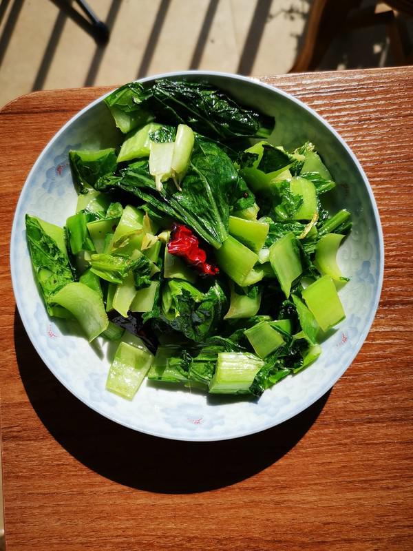 干椒炒苦菜的做法-家常味炒菜譜