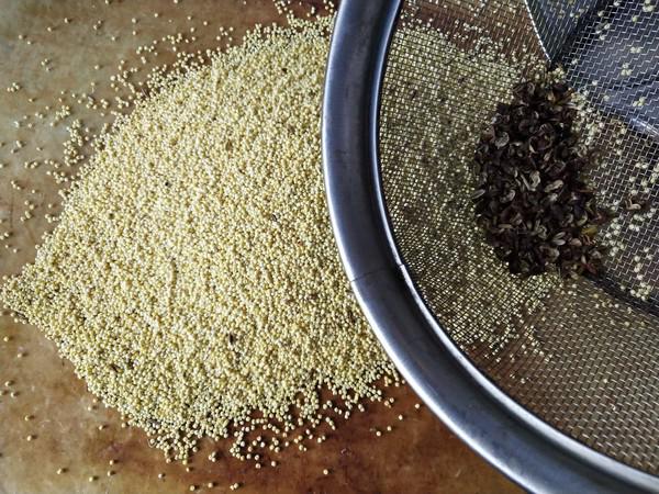 香糯小米扣肉的做法-家常味蒸菜譜