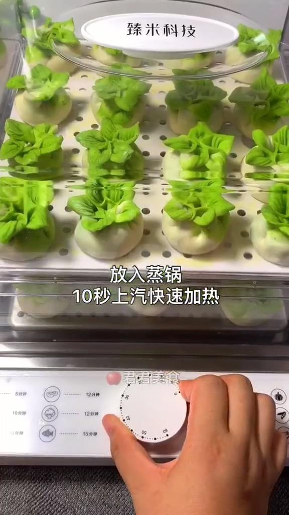 白菜蒸餃的做法-家常味蒸菜譜-易網健康養生網 白菜蒸餃的做法-家常味蒸菜譜