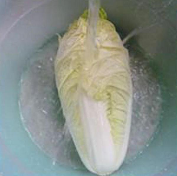 胡蘿卜炒黃芽菜的做法-家常味炒菜譜-易網(wǎng)健康養(yǎng)生網(wǎng) 胡蘿卜炒黃芽菜的做法-家常味炒菜譜