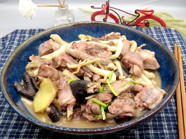 白玉菇燉雞的做法-家常味燉菜譜