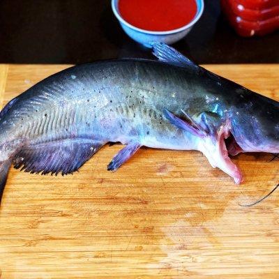 貴州凱里酸湯魚(yú)的做法的做法-酸辣味煮菜譜