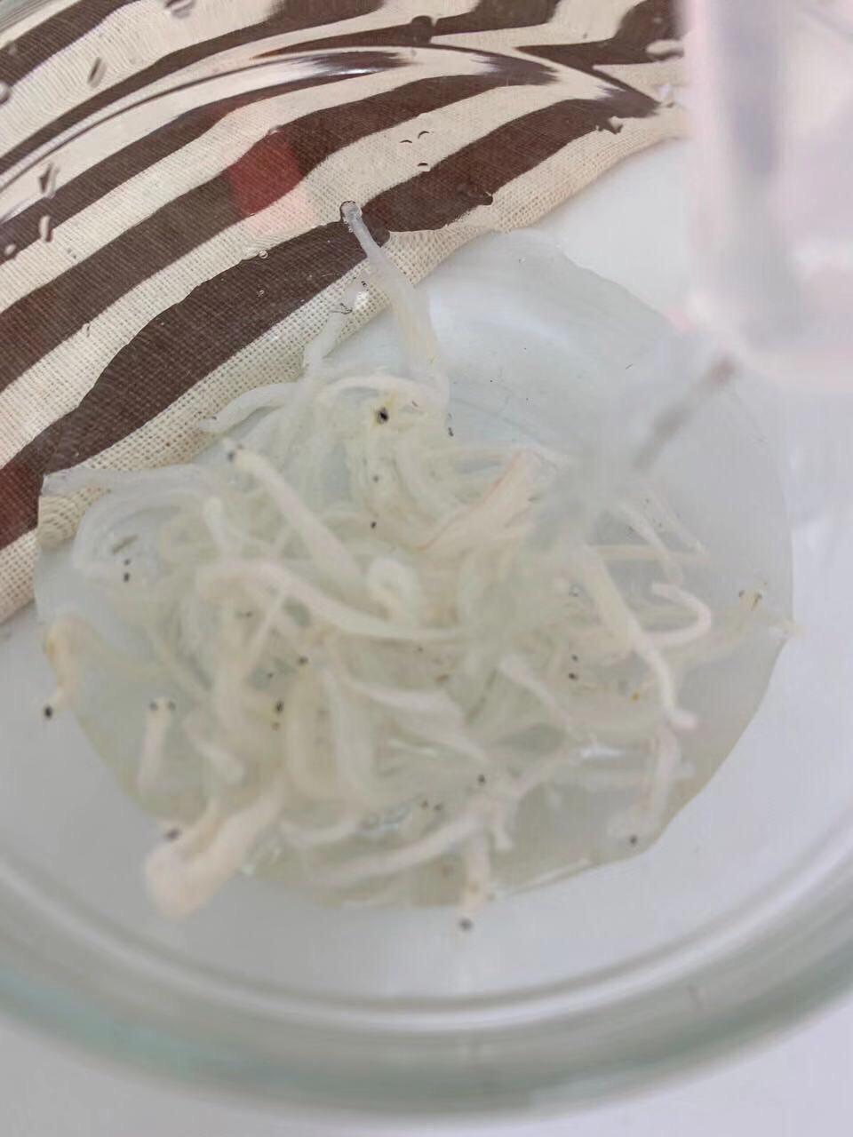 寶寶輔食  銀魚秋葵煎蛋的做法-家常味煎菜譜