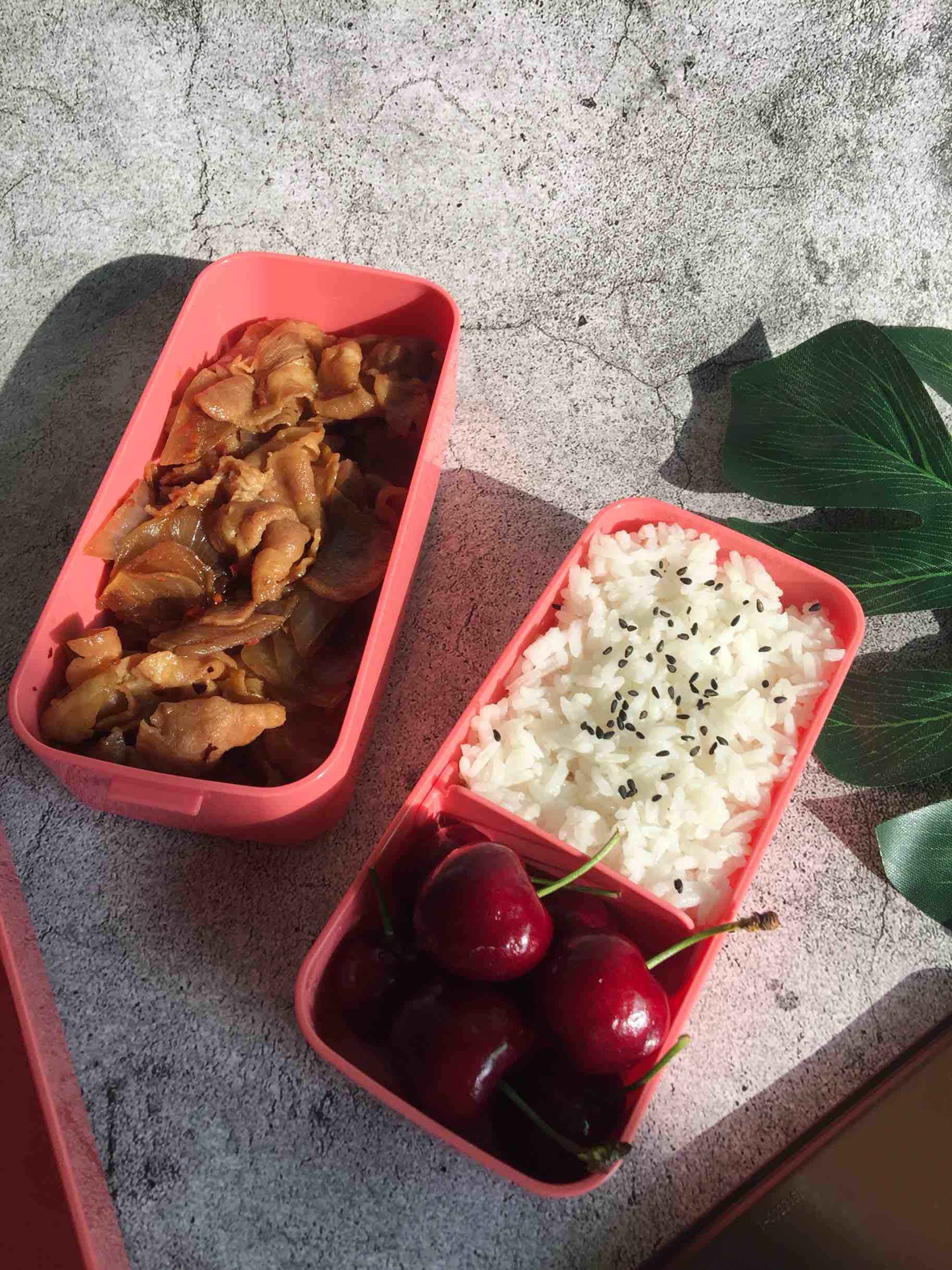 洋蔥肥牛便當的做法-家常味煮菜譜