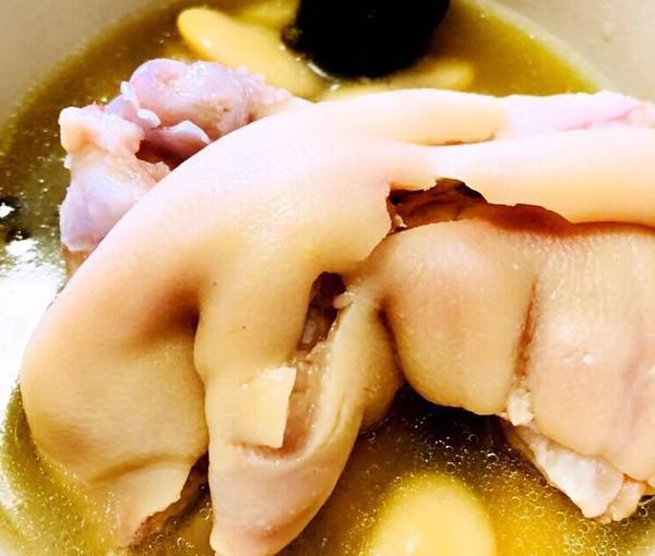 老媽蹄花的做法-咸鮮味燉菜譜