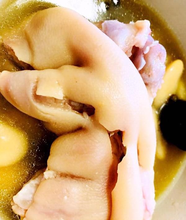 老媽蹄花的做法-咸鮮味燉菜譜