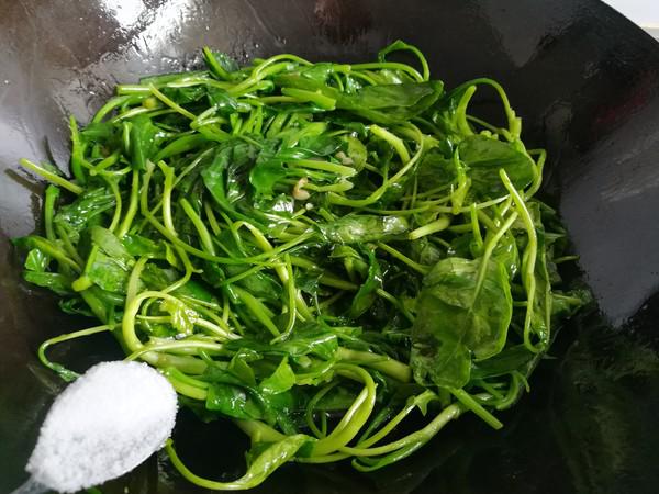 清炒芥藍的做法-家常味炒菜譜-易網(wǎng)健康養(yǎng)生網(wǎng) 清炒芥藍的做法-家常味炒菜譜