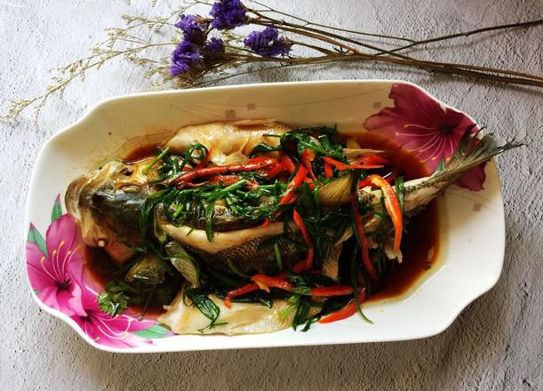 蔥香鱸魚的做法-家常味蒸菜譜