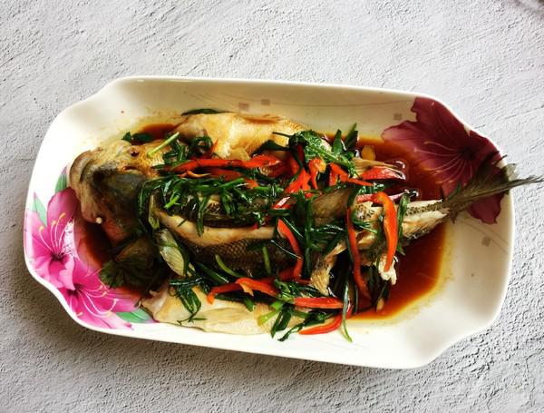蔥香鱸魚的做法-家常味蒸菜譜