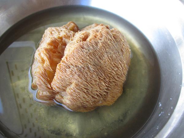 猴頭菇豆腐燉鯽魚的做法-咸鮮味燉菜譜-易網健康養生網 猴頭菇豆腐燉鯽魚的做法-咸鮮味燉菜譜