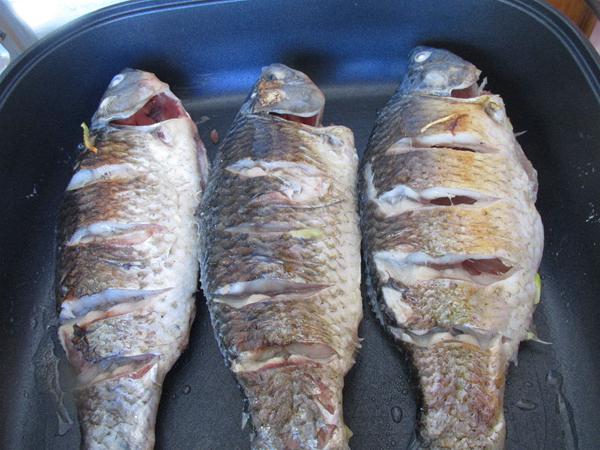 猴頭菇豆腐燉鯽魚的做法-咸鮮味燉菜譜-易網健康養生網 猴頭菇豆腐燉鯽魚的做法-咸鮮味燉菜譜