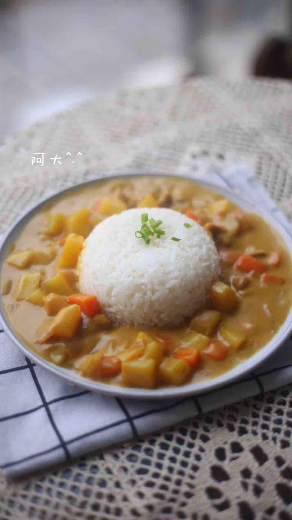 豬肉咖喱飯的做法-咖喱味煮菜譜