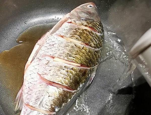 清蒸鯉魚(yú)的做法-咸鮮味蒸菜譜-易網(wǎng)健康養(yǎng)生網(wǎng) 清蒸鯉魚(yú)的做法-咸鮮味蒸菜譜