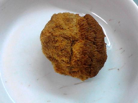 參芪猴菇燉雞的做法-咸鮮味燉菜譜