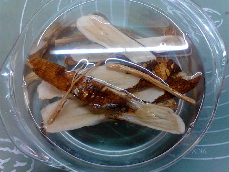 參芪猴菇燉雞的做法-咸鮮味燉菜譜