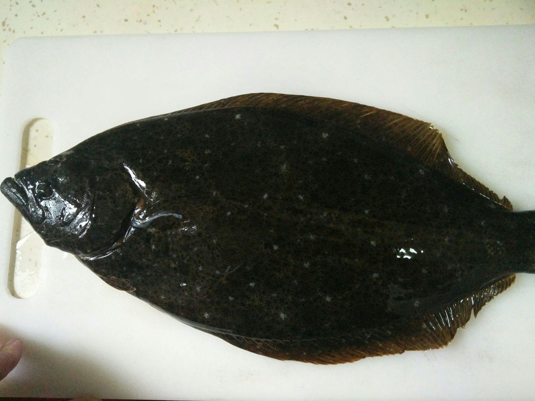 清蒸鴉片魚的做法-家常味蒸菜譜