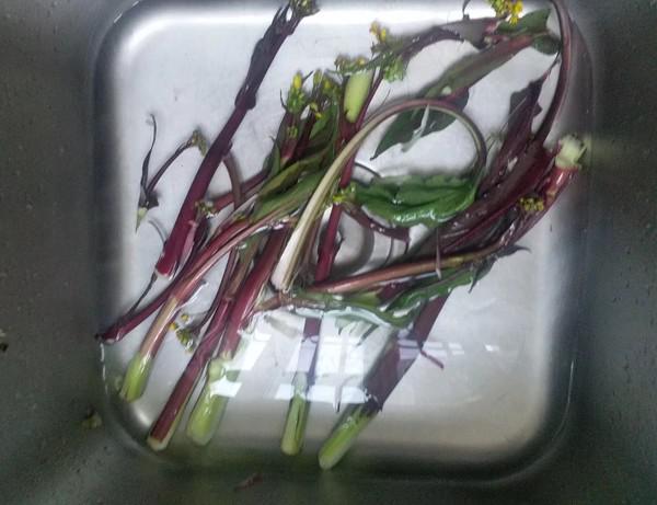 爆炒紅菜苔的做法-咸鮮味炒菜譜