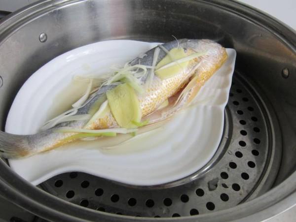 蔥油黃花魚的做法-家常味蒸菜譜