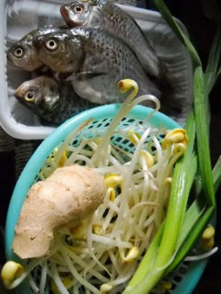 豆芽燒鯽魚的做法-咸鮮味燒菜譜-易網(wǎng)<a href=http://m.henggaotouzi.com/ target=_blank class=infotextkey>健康養(yǎng)生</a>網(wǎng) 豆芽燒鯽魚的做法-咸鮮味燒菜譜