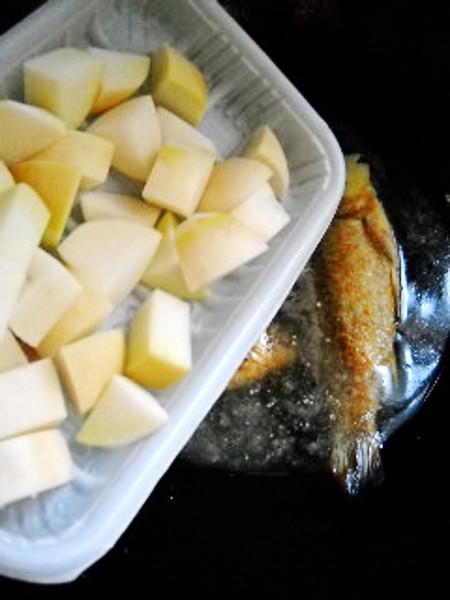 蘿卜燉鯽魚的做法-咸鮮味燉菜譜