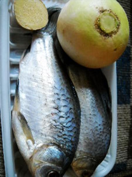 蘿卜燉鯽魚的做法-咸鮮味燉菜譜