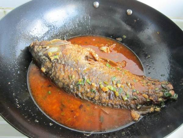 紅燒鯉魚的做法-家常味燒菜譜
