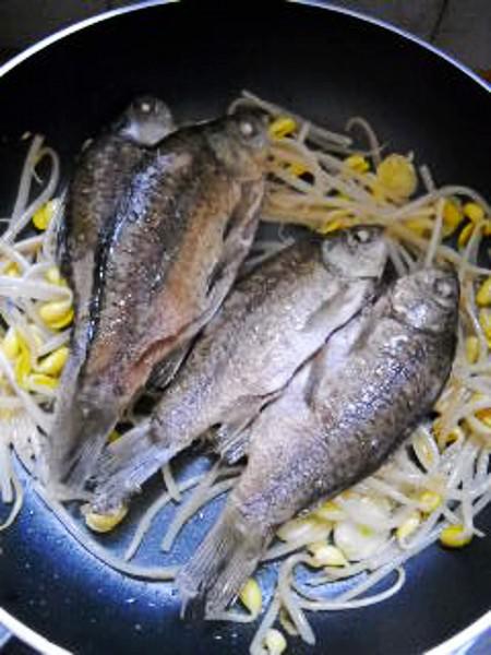 豆芽燒鯽魚的做法-咸鮮味燒菜譜-易網(wǎng)健康養(yǎng)生網(wǎng) 豆芽燒鯽魚的做法-咸鮮味燒菜譜