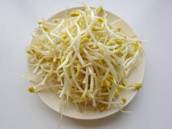 胡蘿卜黃豆芽炒肉的做法-家常味炒菜譜