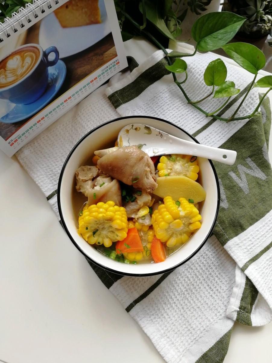 豬腳玉米湯的做法-咸鮮味燉菜譜
