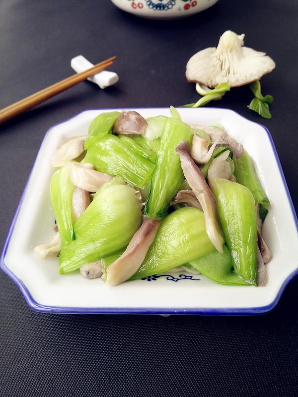 鳳尾蘑炒油菜的做法-家常味炒菜譜