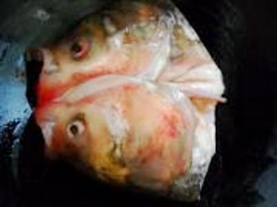 砂鍋魚頭煲的做法-咸鮮味煮菜譜