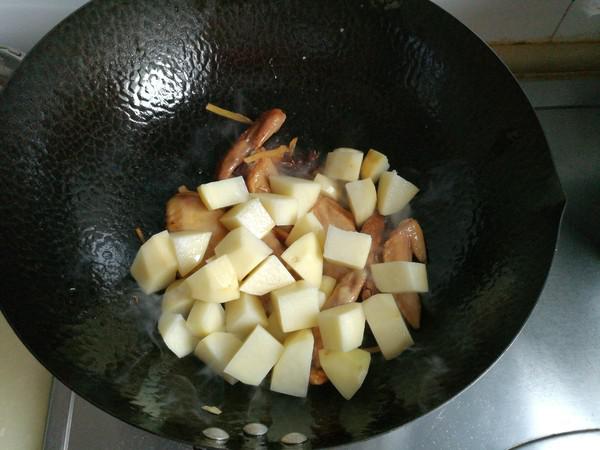 雞翅燉土豆的做法-家常味燉菜譜