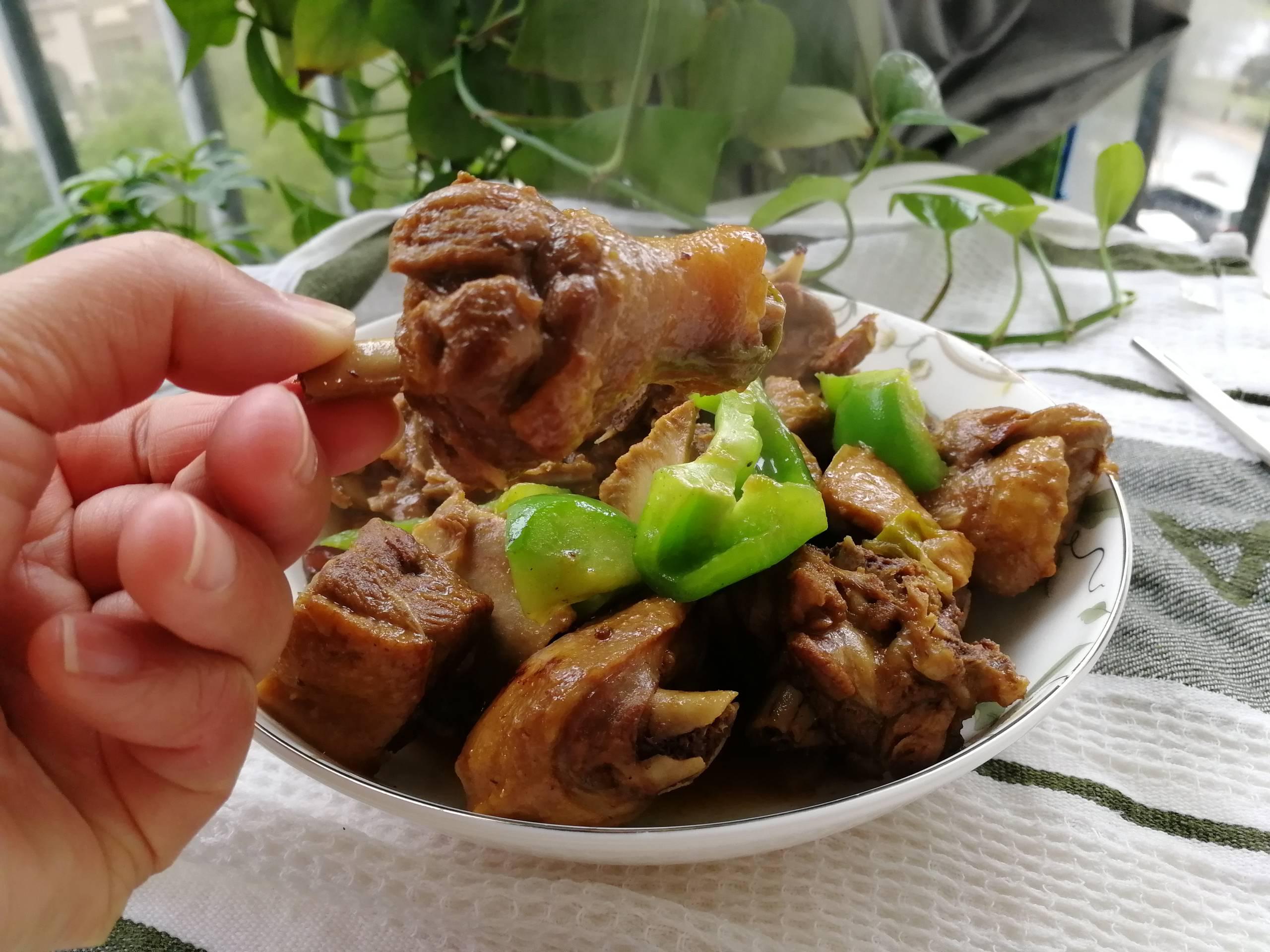 紅燒鵝肉的做法-咸鮮味煮菜譜