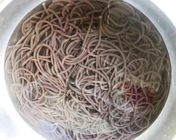 麻辣蕨根粉的做法-麻辣味拌菜譜-易網健康養生網 麻辣蕨根粉的做法-麻辣味拌菜譜