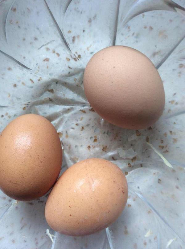 蠔油蛋炒絲瓜的做法-家常味炒菜譜-易網健康養生網 蠔油蛋炒絲瓜的做法-家常味炒菜譜