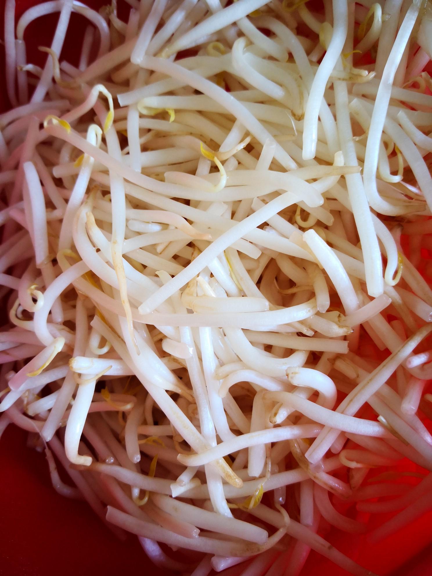 豆芽炒木耳的做法-家常味炒菜譜