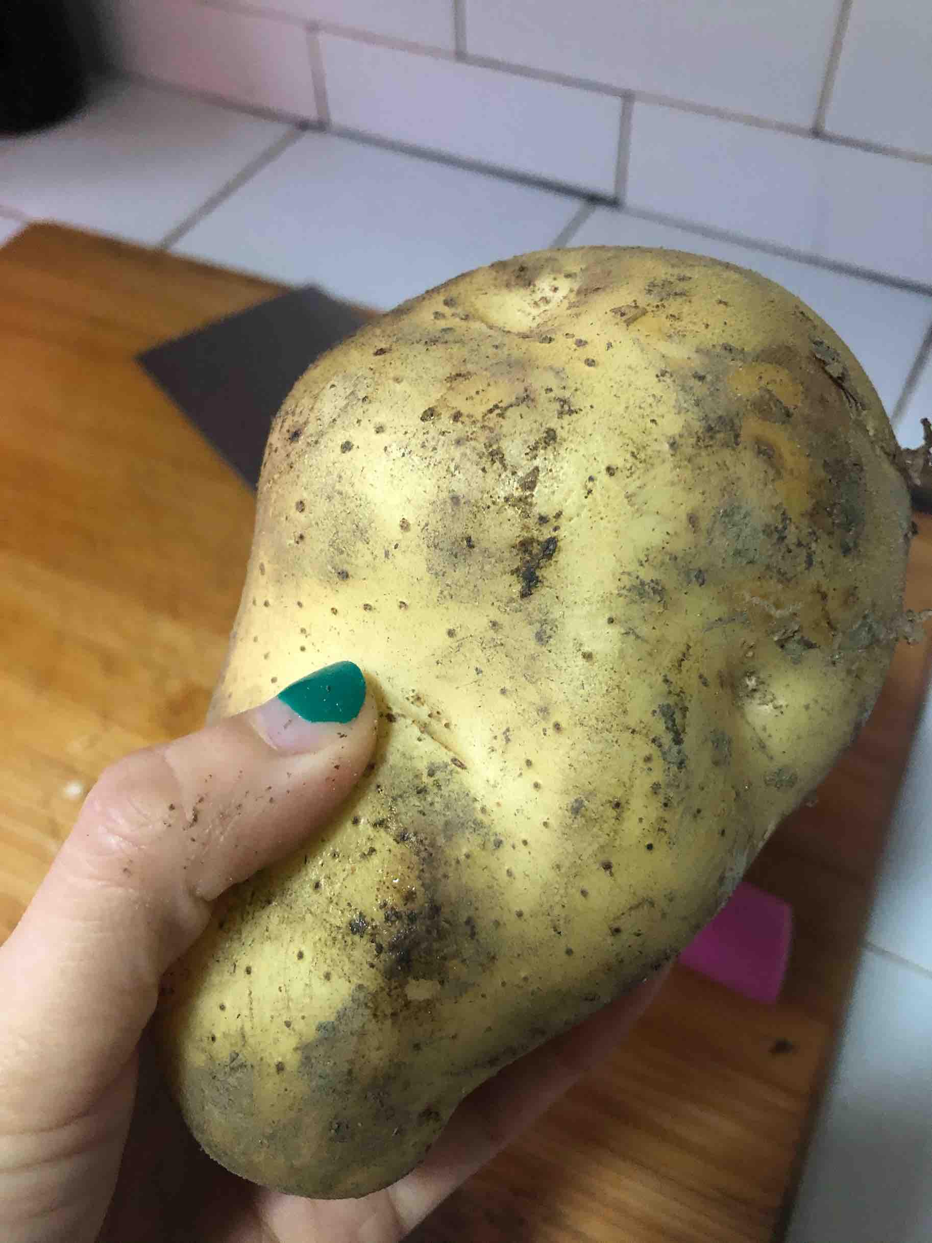 黃燜雞的做法-咸鮮味燒菜譜