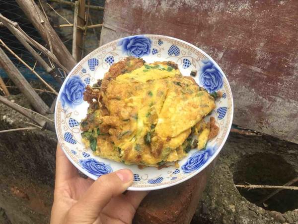 蔥花蛋的做法-家常味煎菜譜