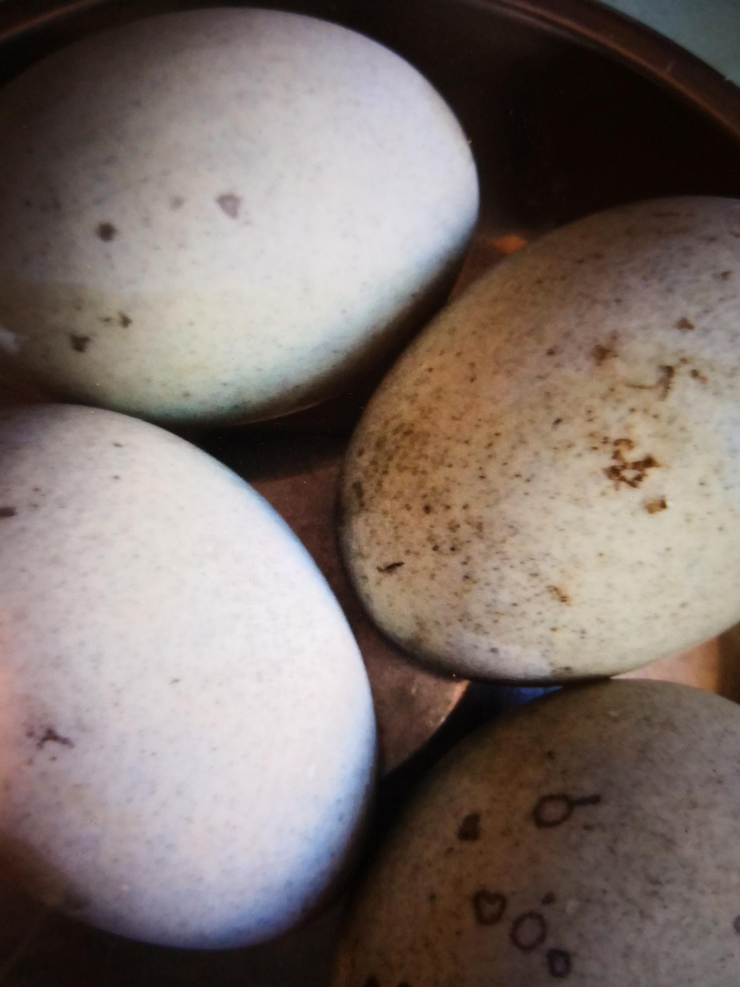 澆汁松花蛋的做法-酸甜味拌菜譜-易網(wǎng)<a href=http://m.henggaotouzi.com/ target=_blank class=infotextkey>健康養(yǎng)生</a>網(wǎng) 澆汁松花蛋的做法-酸甜味拌菜譜