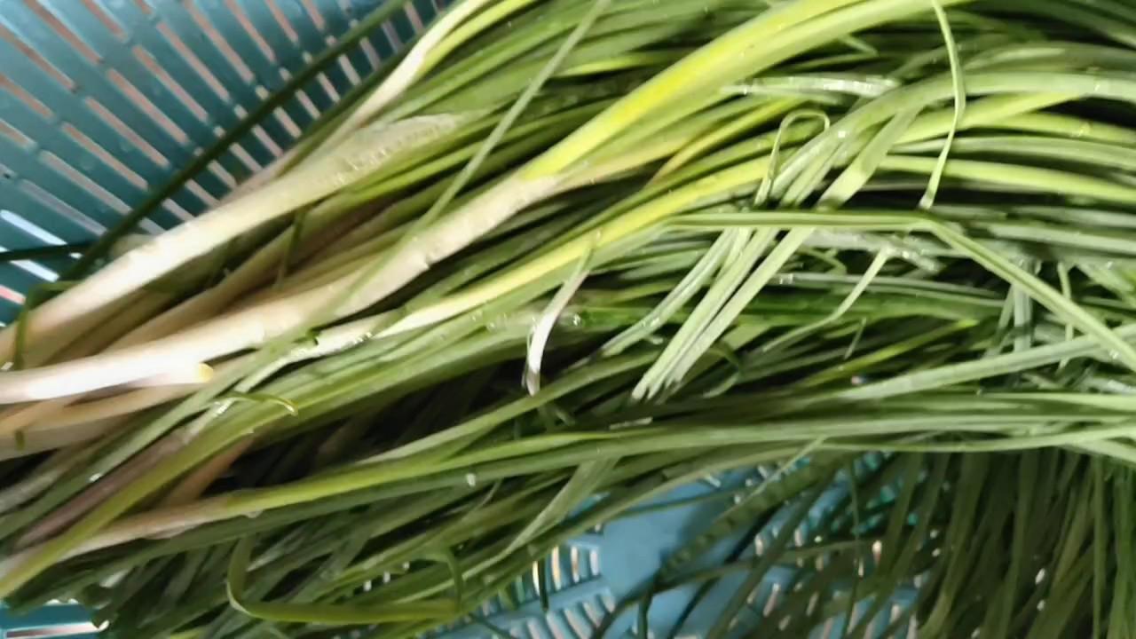 野韭菜炒雞蛋的做法-家常味炒菜譜