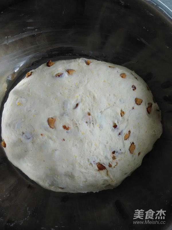 兩摻面紅棗饅頭的做法-甜味蒸菜譜