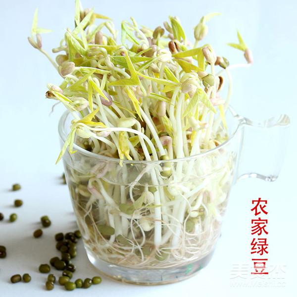 快炒綠豆芽的做法-家常味炒菜譜