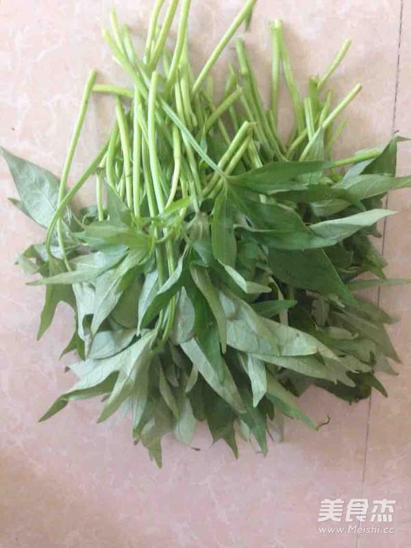 清炒番薯葉的做法-家常味炒菜譜
