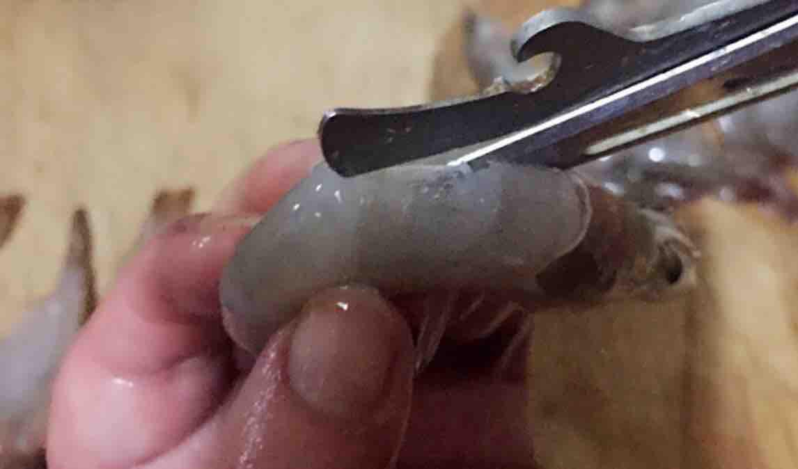 蒜蓉海蝦蒸金針菇的做法-家常味蒸菜譜-易網健康養生網 蒜蓉海蝦蒸金針菇的做法-家常味蒸菜譜